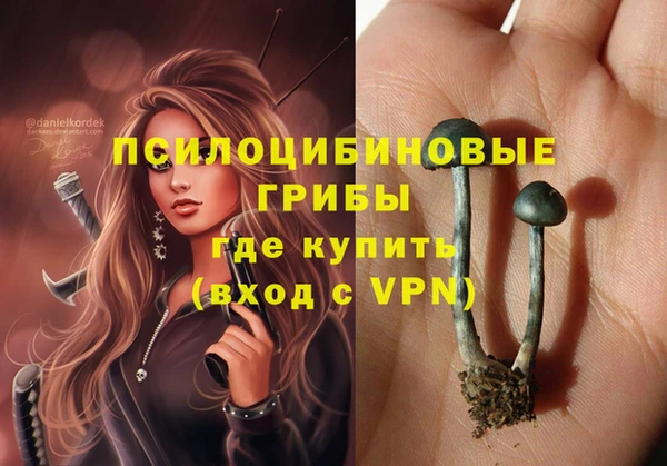гашиш Арсеньев