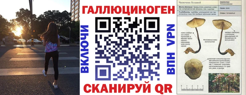 Псилоцибиновые грибы Psilocybine cubensis Татарск